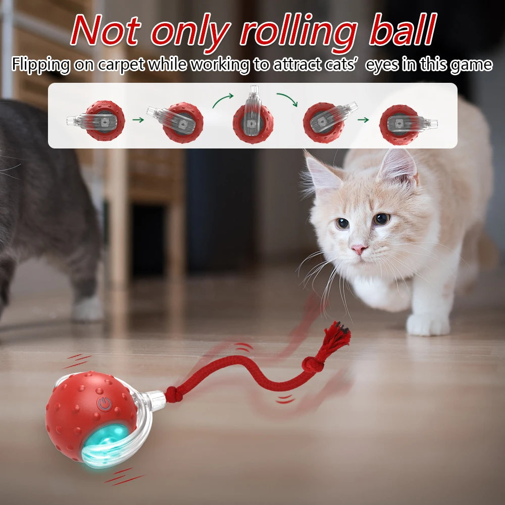 Interactive Cat Toy Ball with Bird Chirping Sound lifestyle view