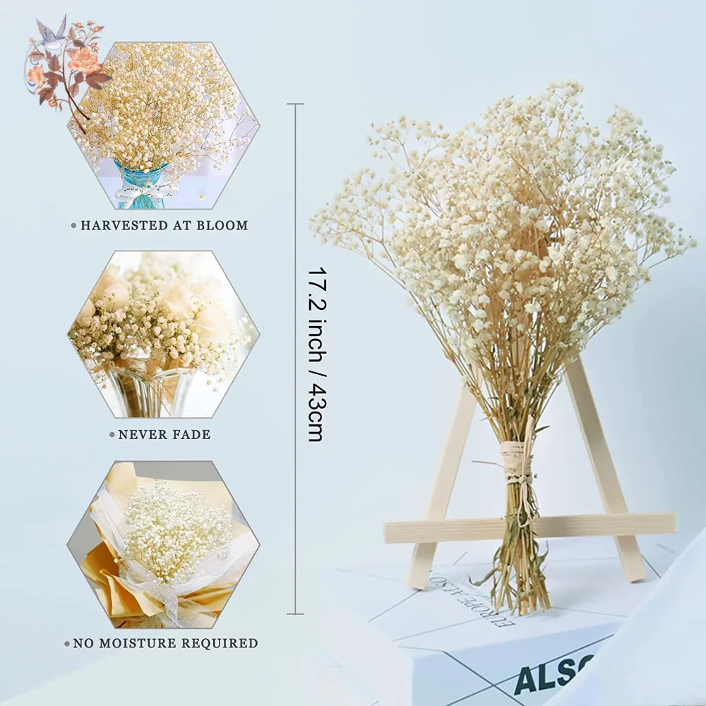 60g Dried Baby Breath Flower Bouquet Natural Dry Flowers Gypsophila Valentines Day Wedding Decoration Home Table Christmas Decor