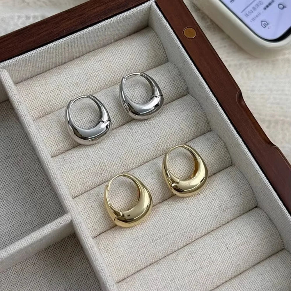 Stainless Steel Chunky Hoop Earrings for Women