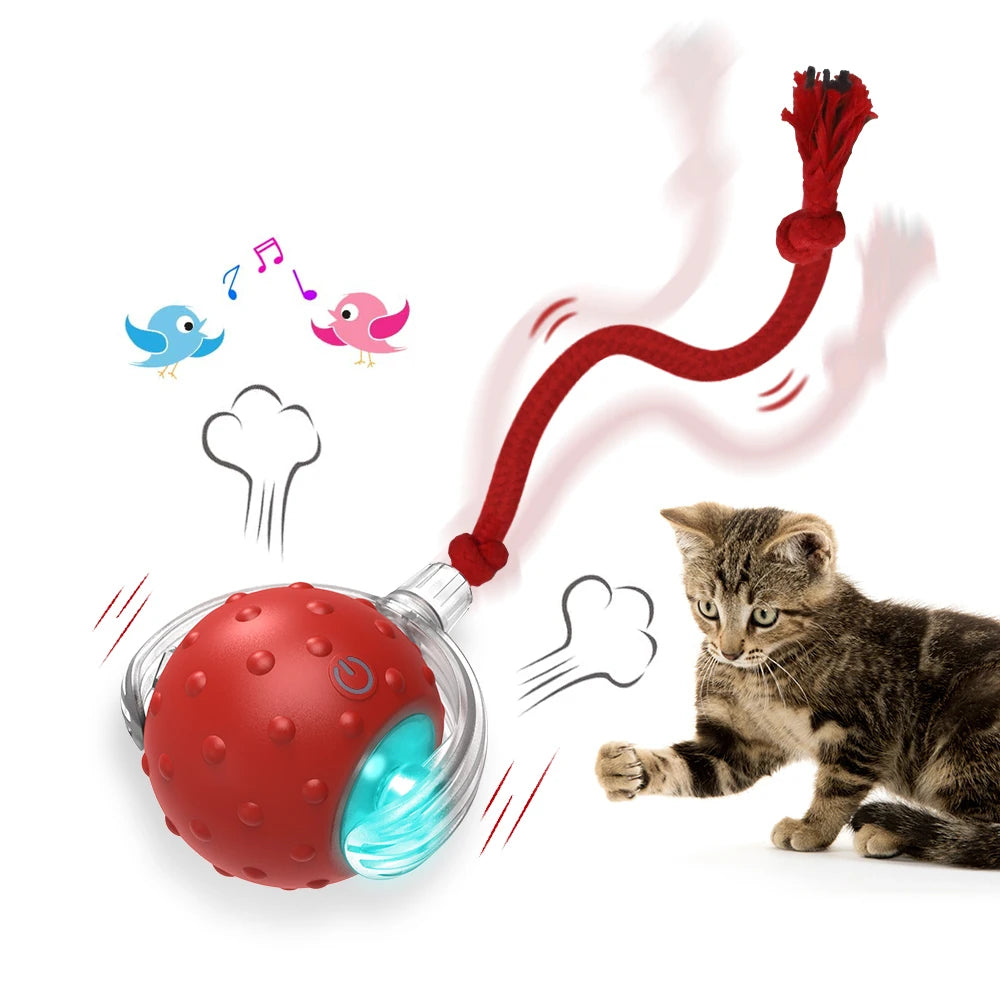 Interactive Cat Toy Ball with Bird Chirping Sound