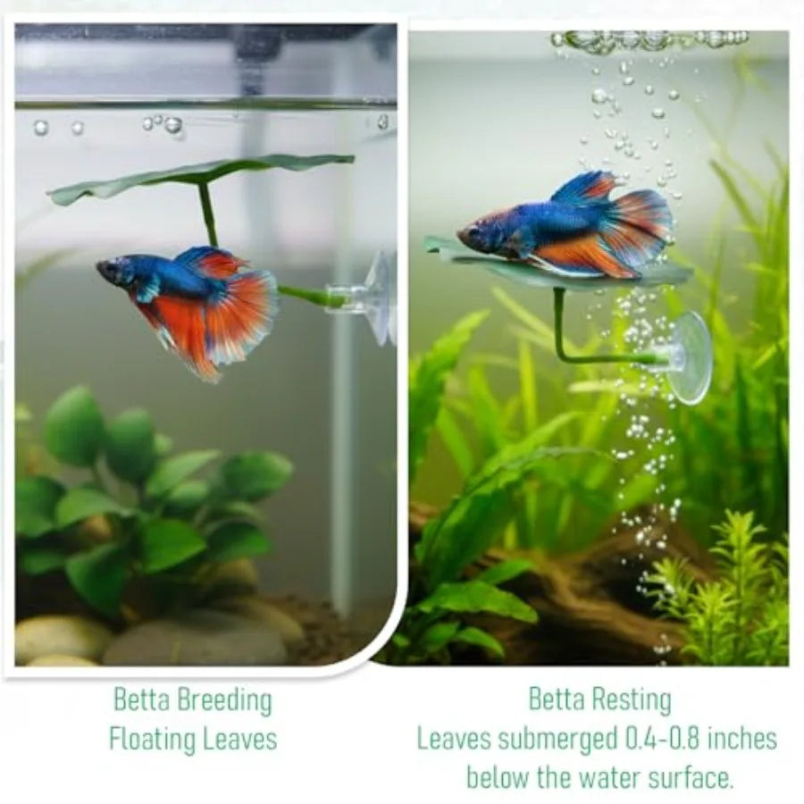 3 Pcs Green Plastic Betta Leaf Hammock for Aquarium with Suction Cup