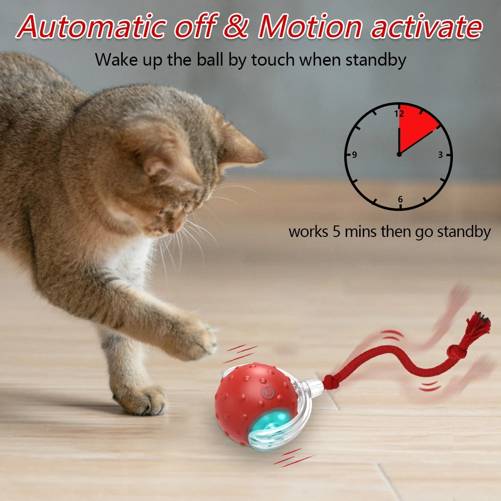 Interactive Cat Toy Ball with Bird Chirping Sound detail view