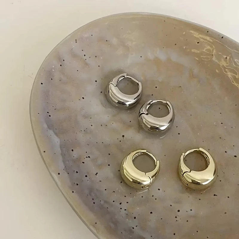 Stainless Steel Chunky Hoop Earrings for Women