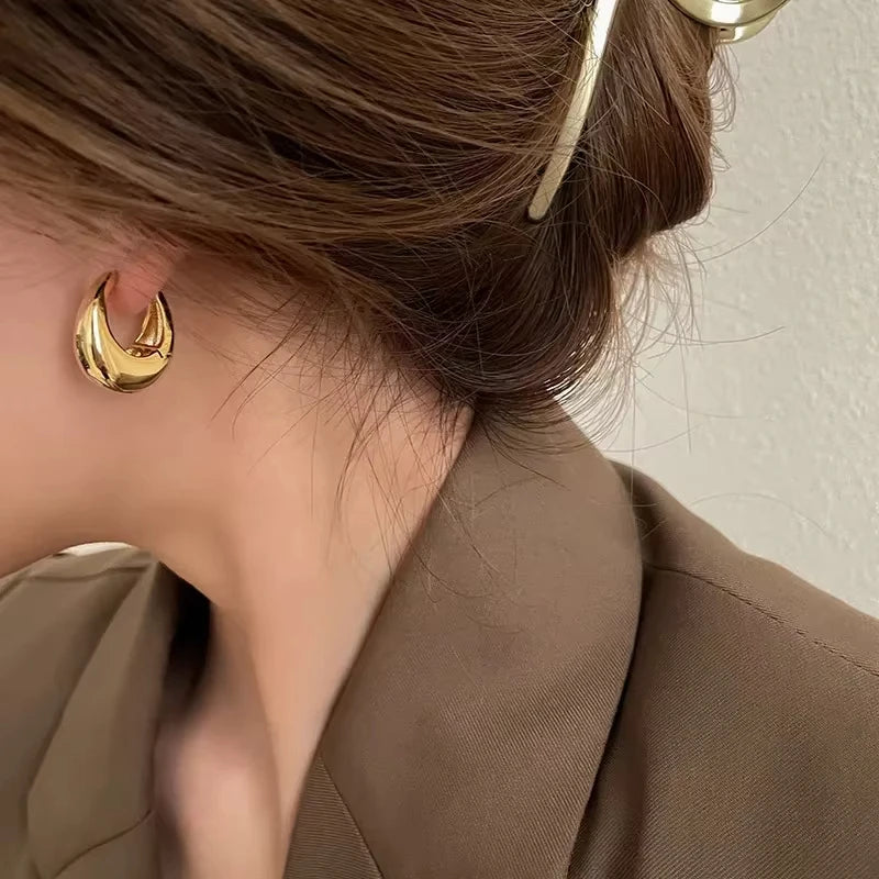 Stainless Steel Chunky Hoop Earrings for Women