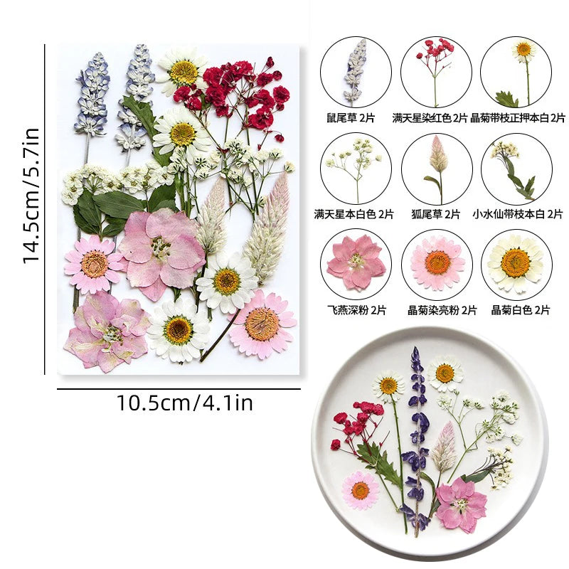 Dried Flower Set Pressed Real Natural Flowers Leaves for Resin Jewelry