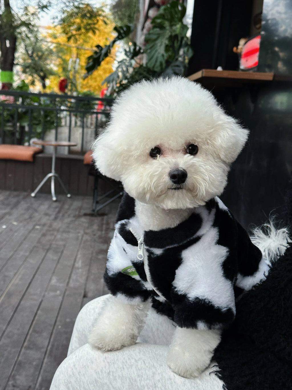 Dog Clothes Autumn and Winter Warm Schnauzer Fah Bichon Teddy Small and Medium-Sized Dogs and Cats Thickened Fur Coat