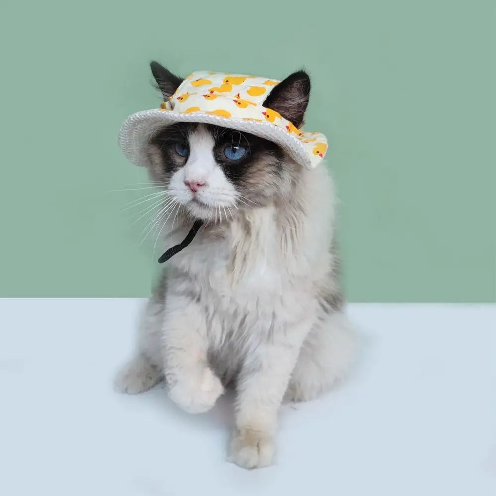 Fashion Adjustable Pet Sun Hat Breathable Outdoor Cat Sunscreen Hat Travel Cat Dog Pet Fisherman Hat
