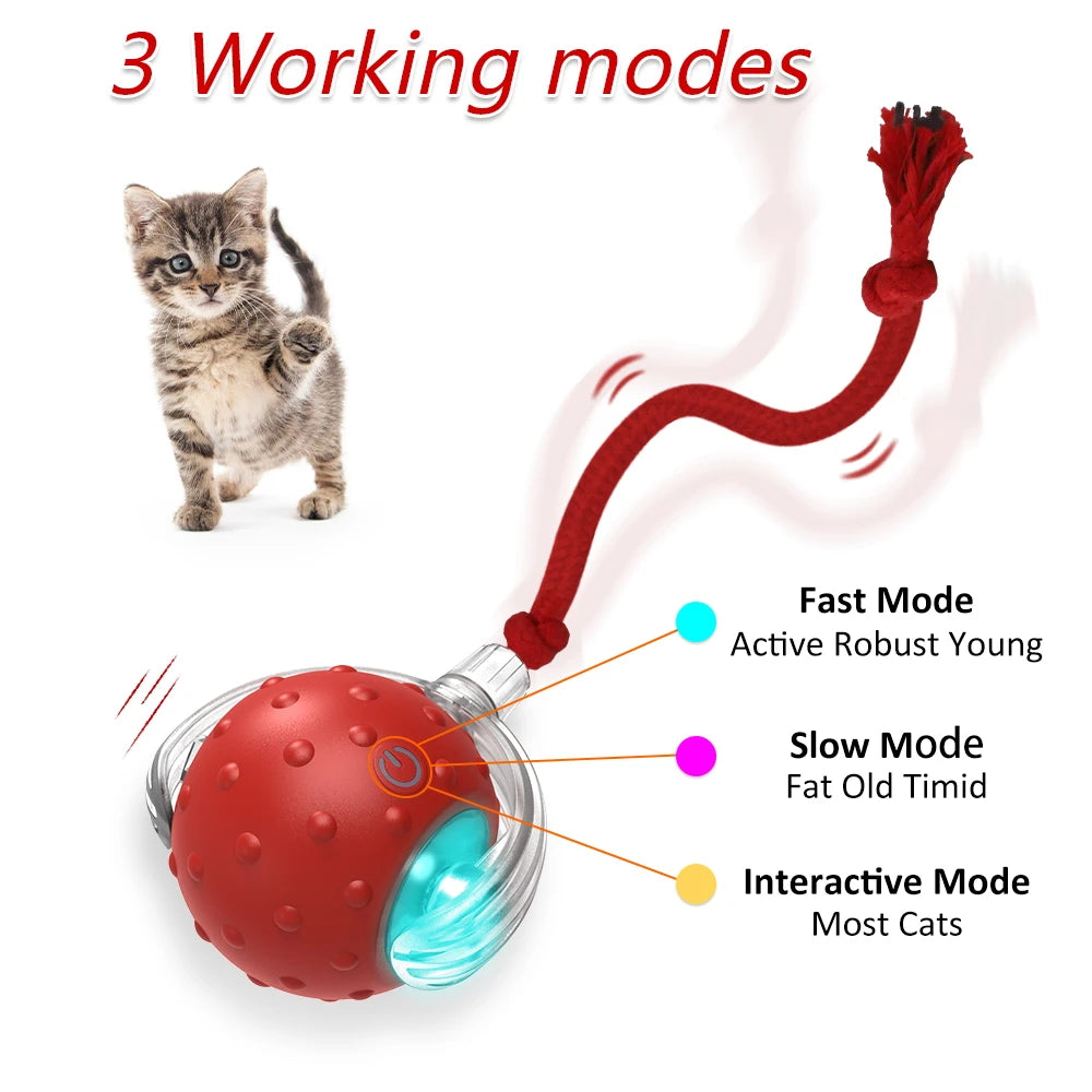 Interactive Cat Toy Ball with Bird Chirping Sound alternate view