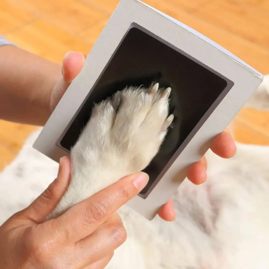 Paw Print Clean Touch Ink Pad Keepsake Kit detail view