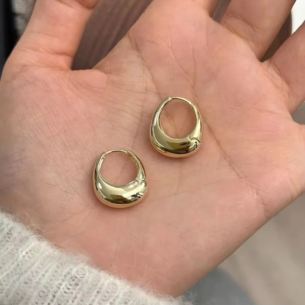 Stainless Steel Chunky Hoop Earrings for Women