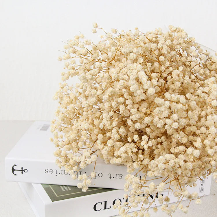 60g Dried Baby Breath Flower Bouquet Natural Dry Flowers Gypsophila Valentines Day Wedding Decoration Home Table Christmas Decor