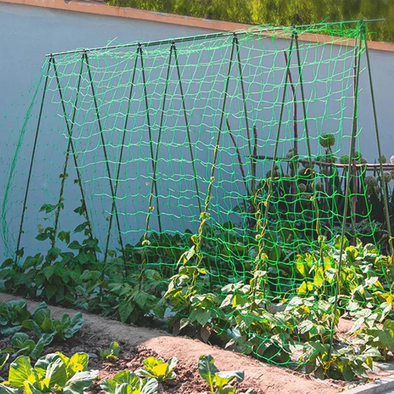 Plant Trellis Pergolas, Heavy-Duty Polyester Grow Net, Garden Trellis Netting With Sq alternate view