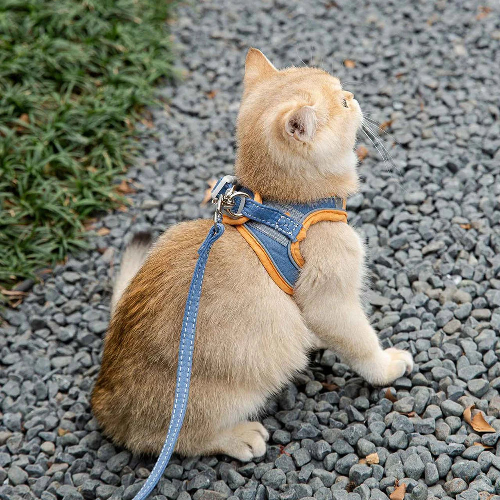 Cat Dog Harness Leash Reflective Pet Vest Harness With Anti-Escape Design Soft With Leads For Outdoor Walking Pet Accessories
