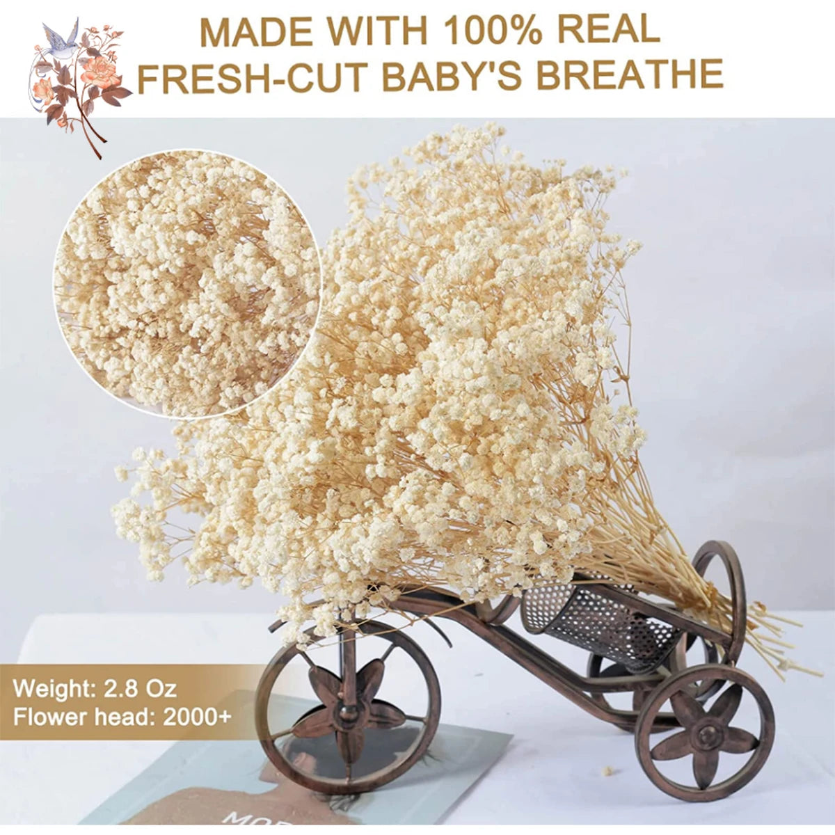 60g Dried Baby Breath Flower Bouquet Natural Dry Flowers Gypsophila Valentines Day Wedding Decoration Home Table Christmas Decor