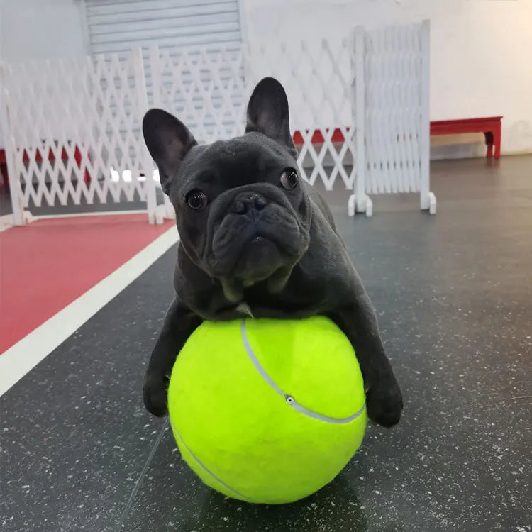 7/8/9.5Inch Dog Tennis Ball Giant Pet Toys for Dog Chewing Toy Signature Mega Jumbo Kids Ball Training Supplies Dropship Plush