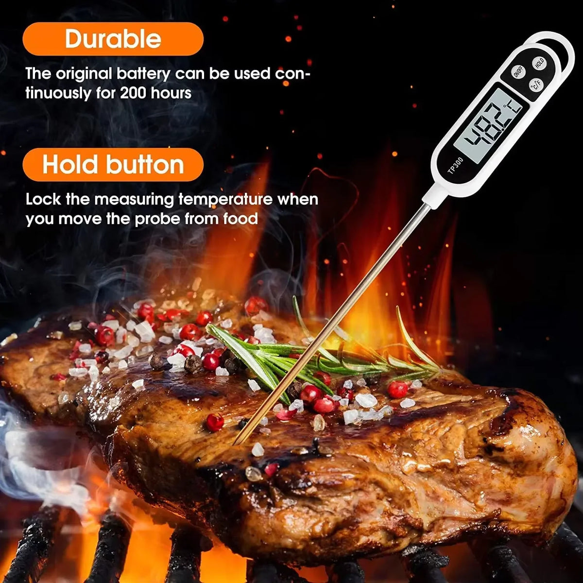 Stainless Steel Digital Probe Thermometer | Pen Type Instant Read detail view