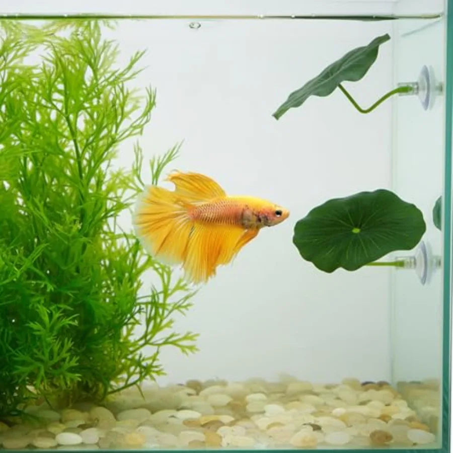 3 Pcs Green Plastic Betta Leaf Hammock for Aquarium with Suction Cup