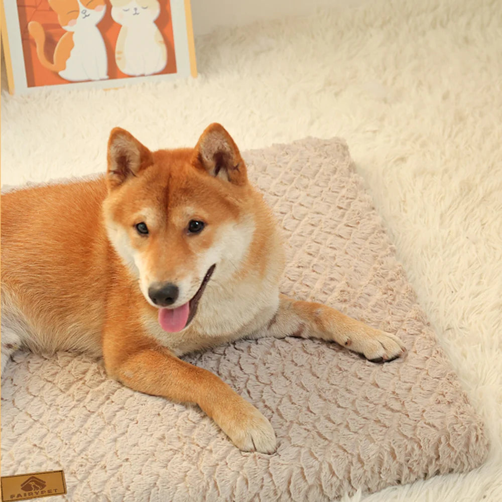 3D Sponge Pet Bed With Removable Washable Faux Fur Cover Soft Dog Bed For Crate Anti-Slip Bottom Winter Warm Dog Bed