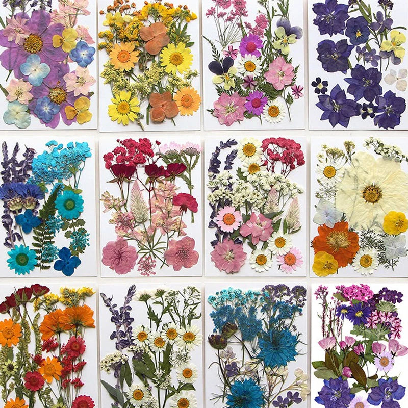 Dried Flower Set Pressed Real Natural Flowers Leaves for Resin Jewelry