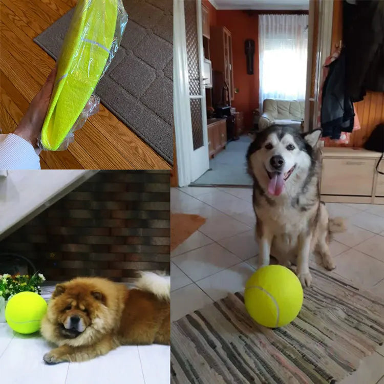 7/8/9.5Inch Dog Tennis Ball Giant Pet Toys for Dog Chewing Toy Signature Mega Jumbo Kids Ball Training Supplies Dropship Plush