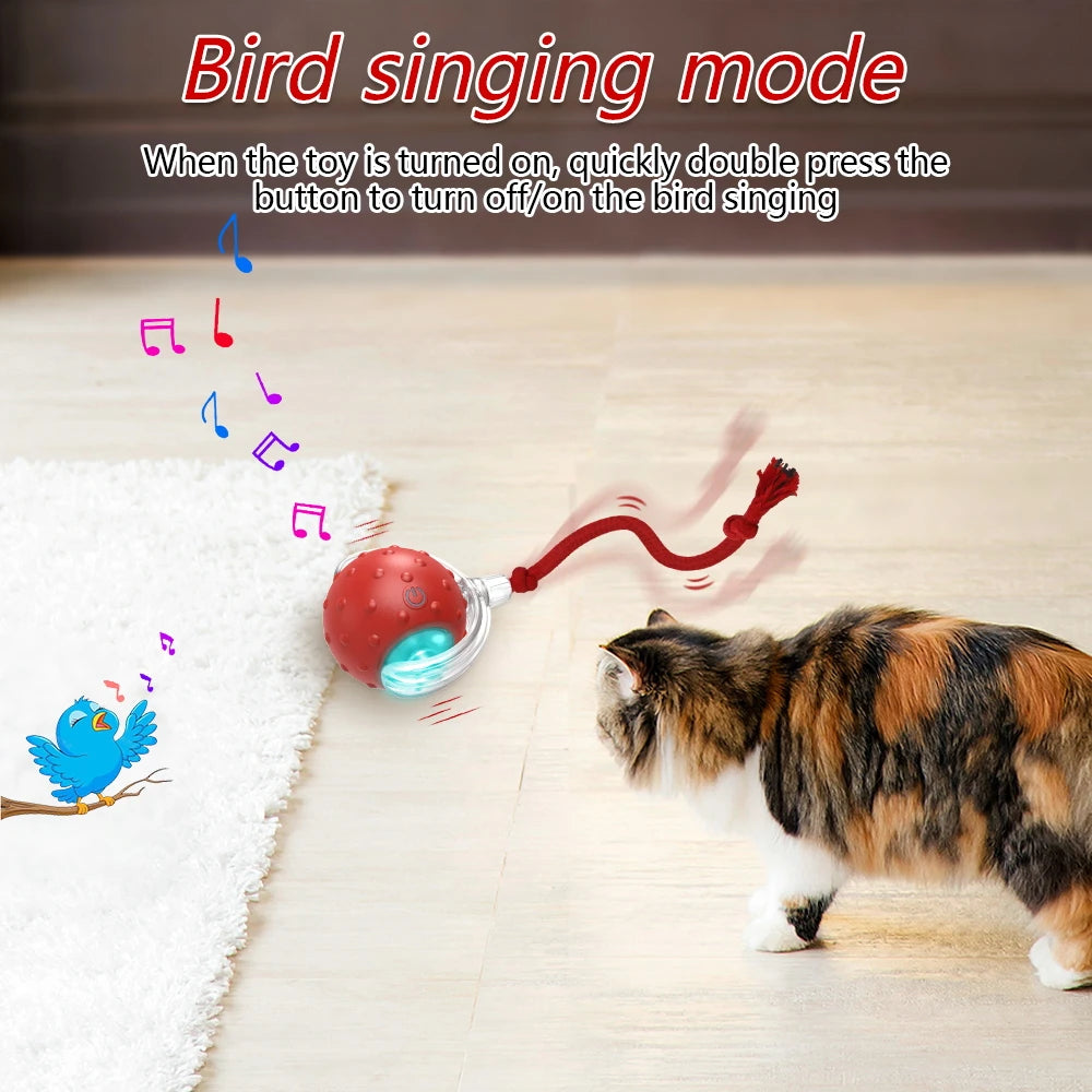 Interactive Cat Toy Ball with Bird Chirping Sound close-up view