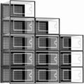 12-Pack Transparent Plastic Stackable Linked Shoe Storage Boxes